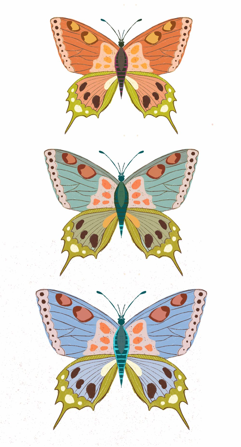 Butterflies and moths - image 7 - student project