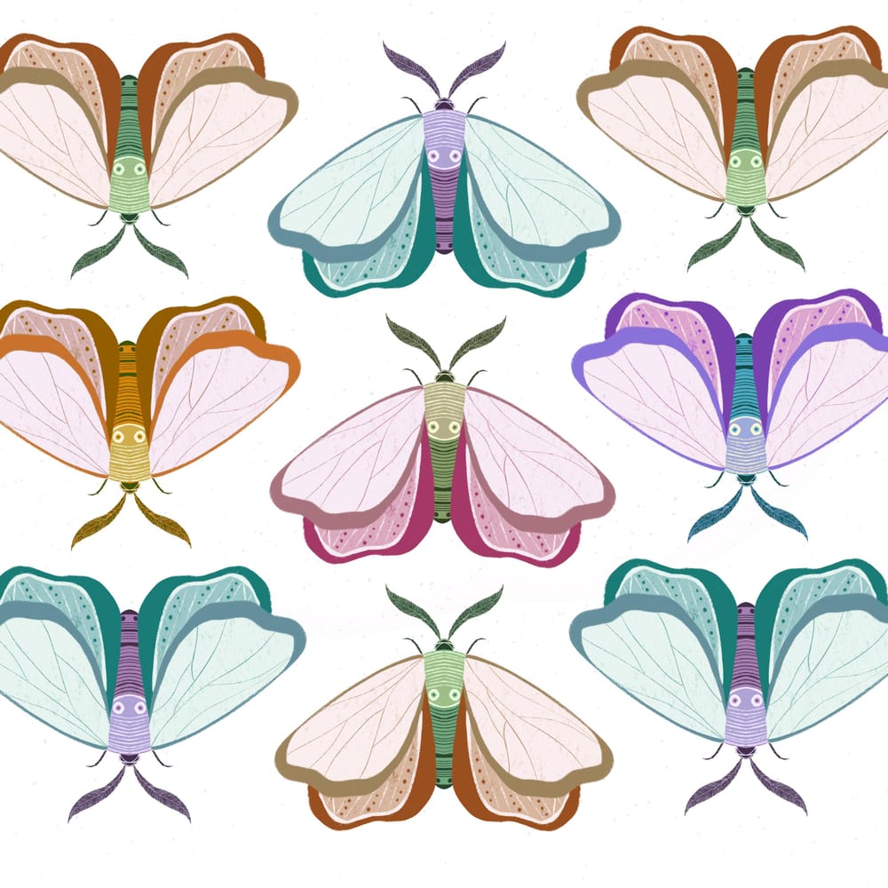 Butterflies and moths - image 6 - student project