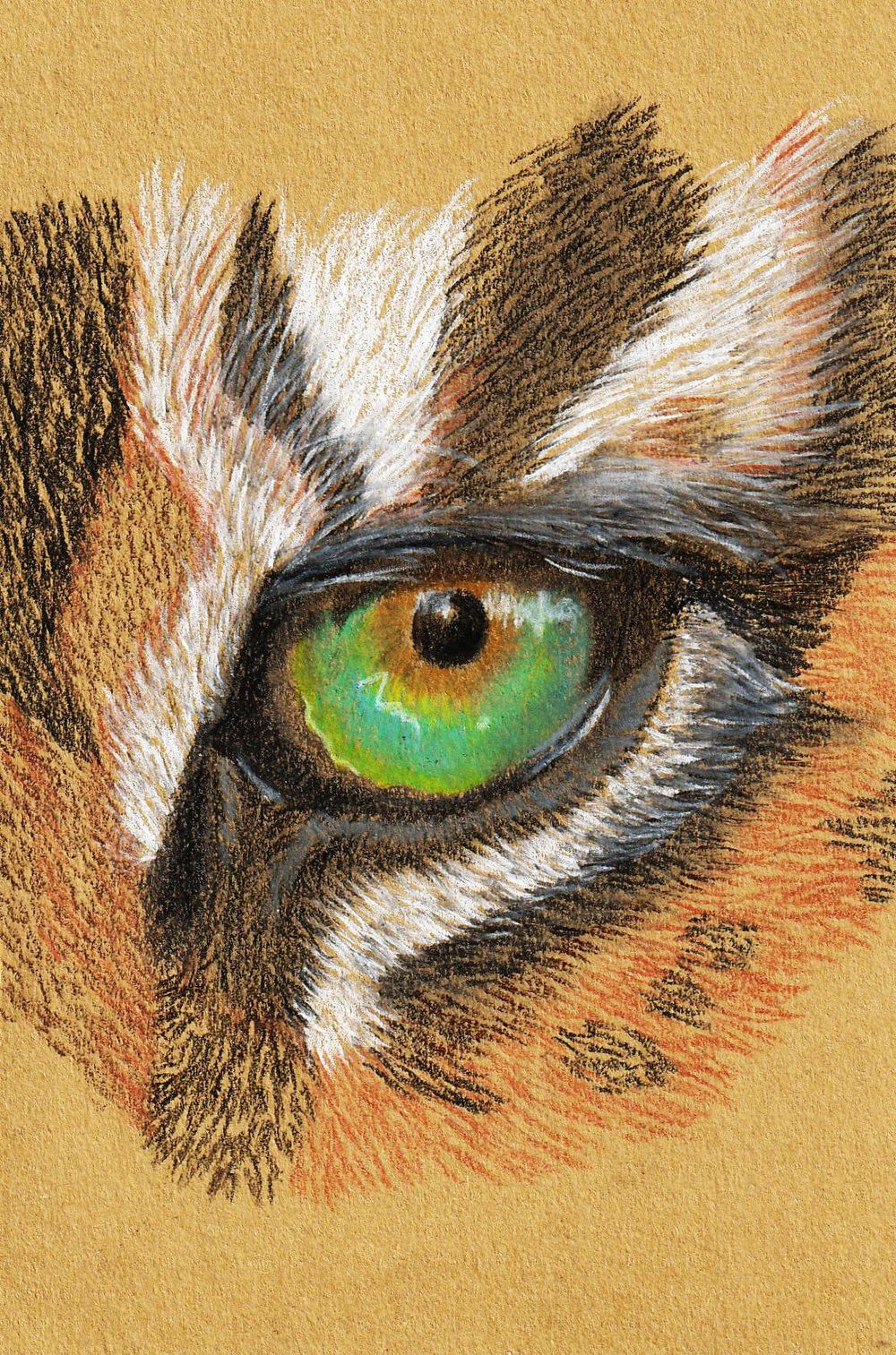 tiger eye - image 1 - student project