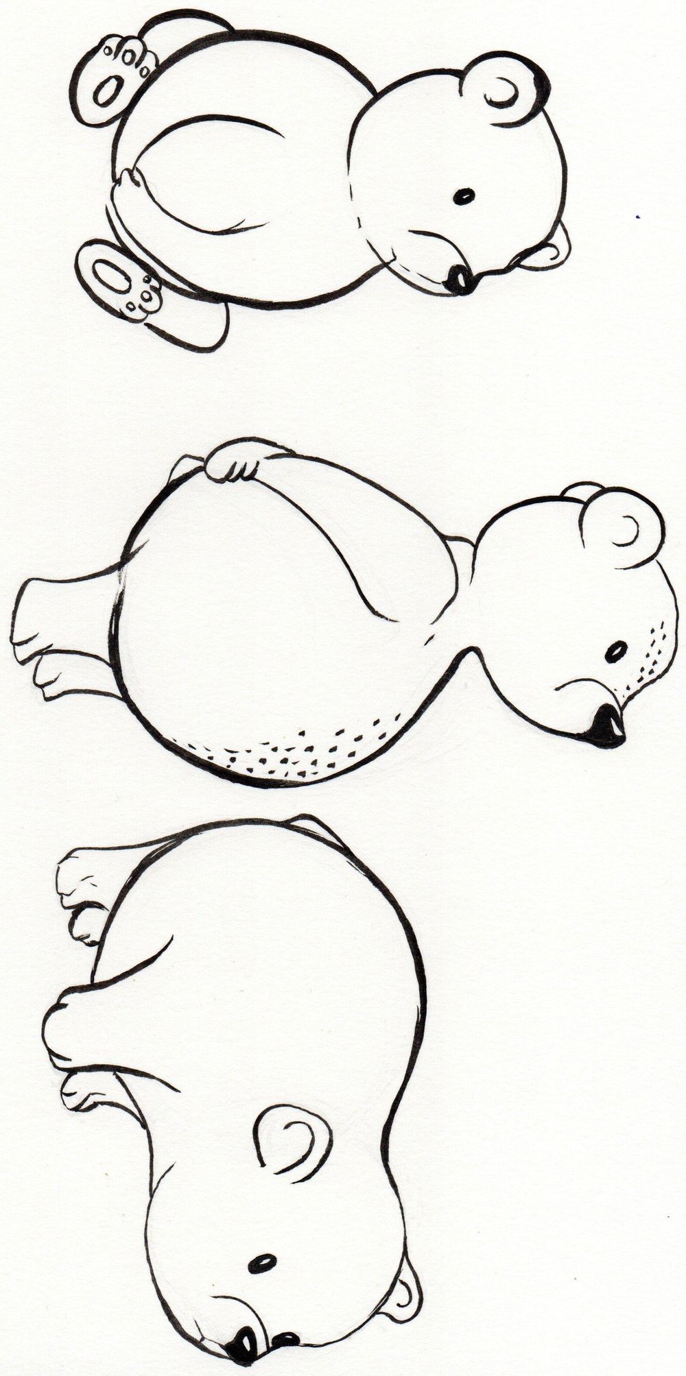 bears - image 1 - student project