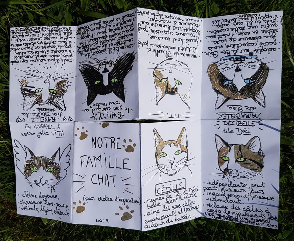 My zine - my cat family - image 1 - student project