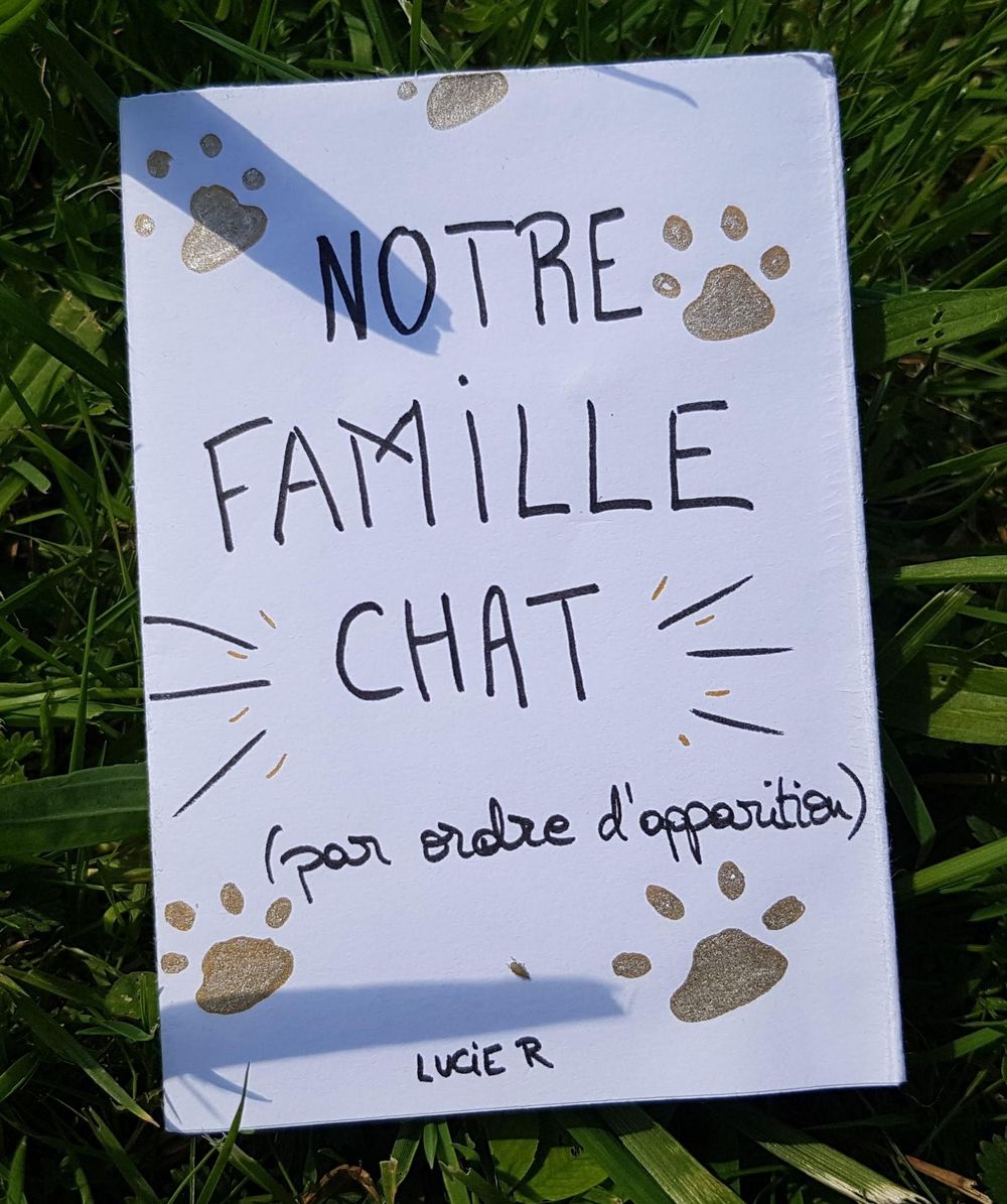My zine - my cat family - image 3 - student project
