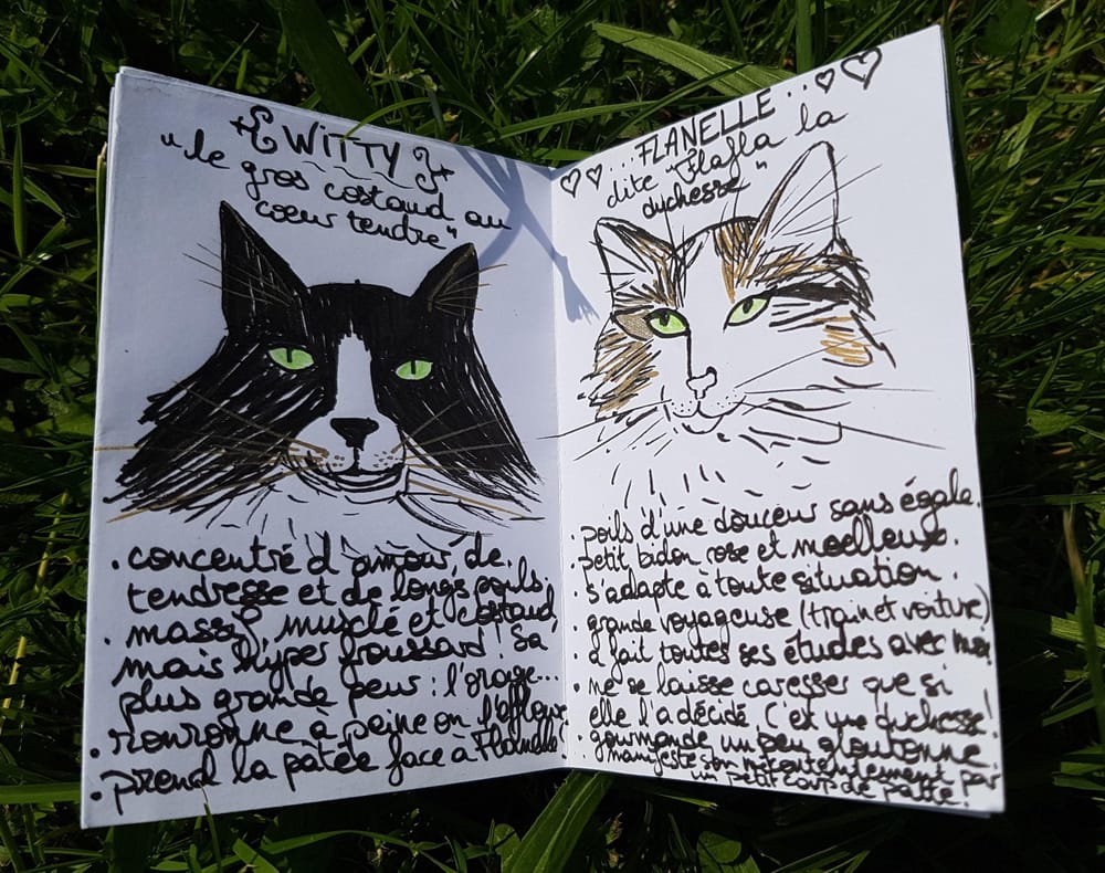 My zine - my cat family - image 2 - student project