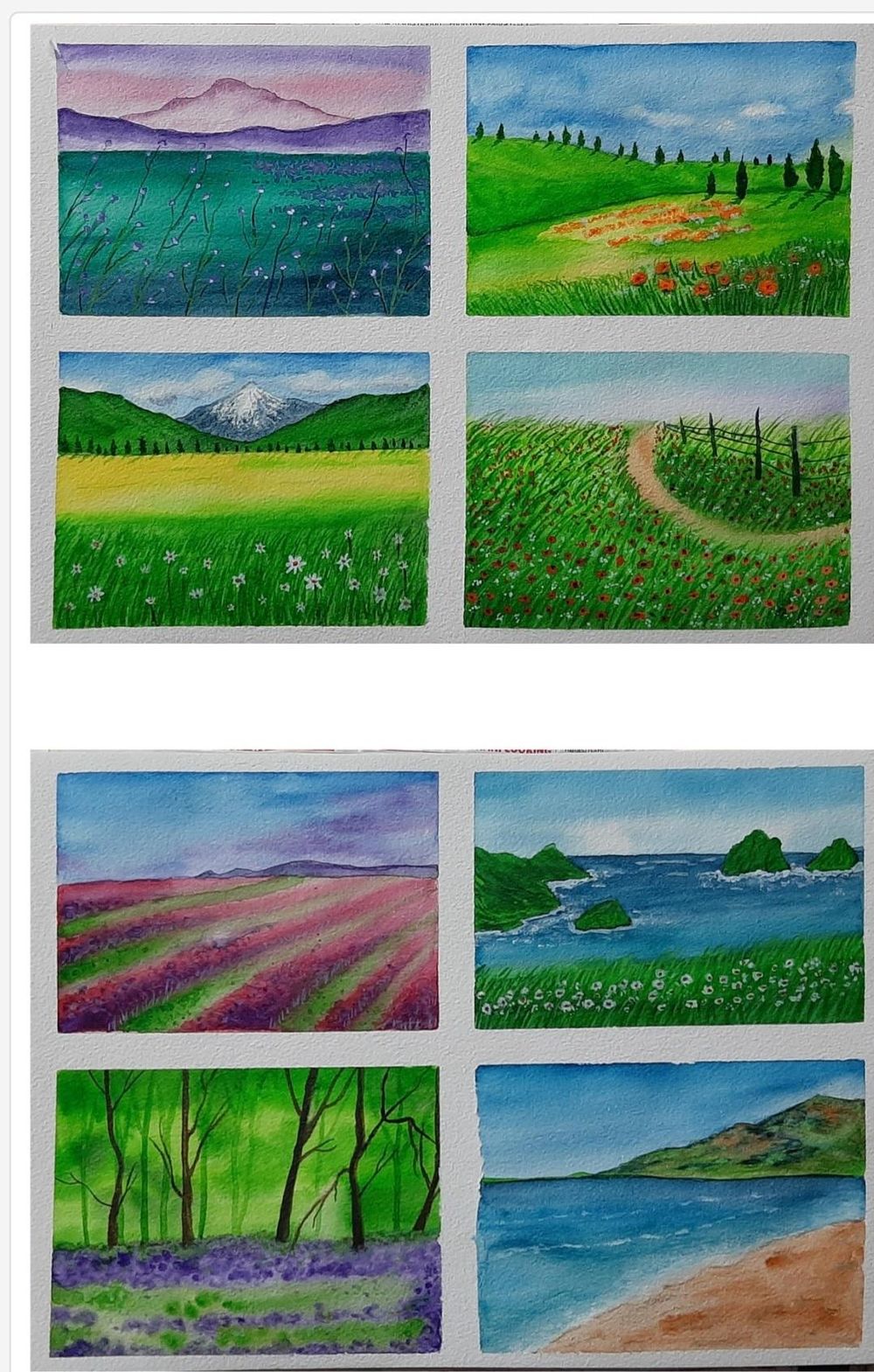 Seasons! - image 1 - student project