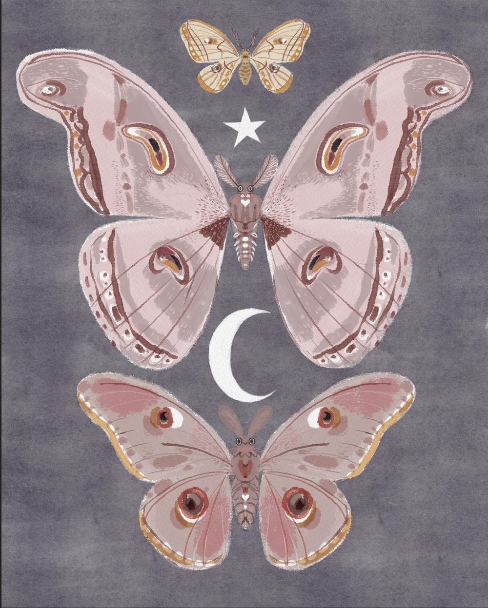 Autumn moths - image 1 - student project
