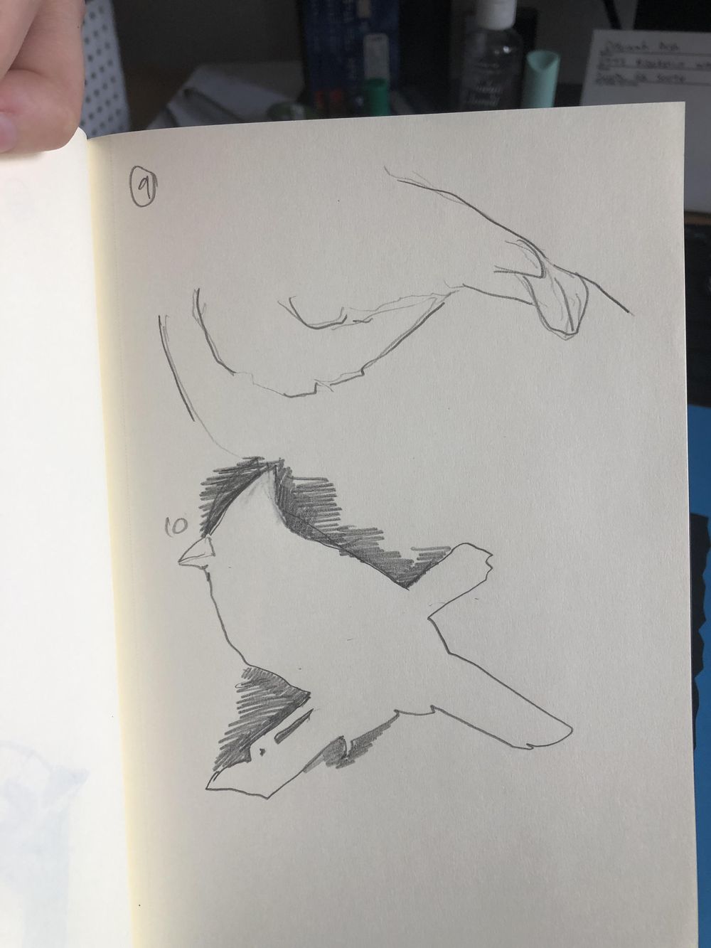 Sketchbook experiments: unknown time limits - image 4 - student project