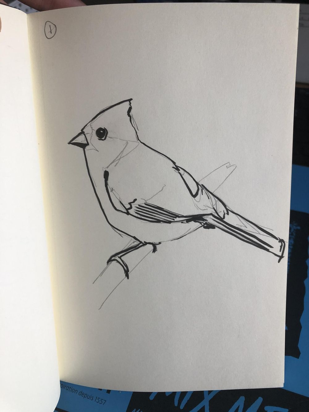 Sketchbook experiments: unknown time limits - image 1 - student project
