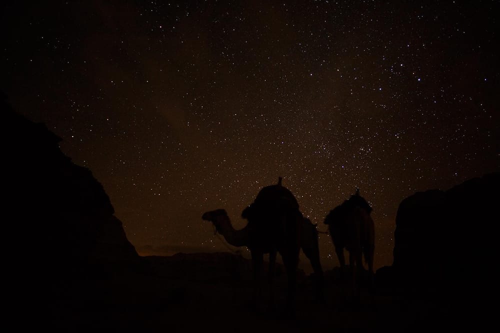 The Middle East - 2014 - image 19 - student project