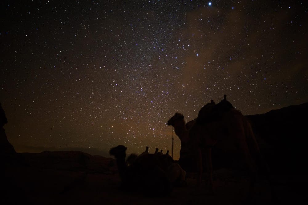 The Middle East - 2014 - image 20 - student project