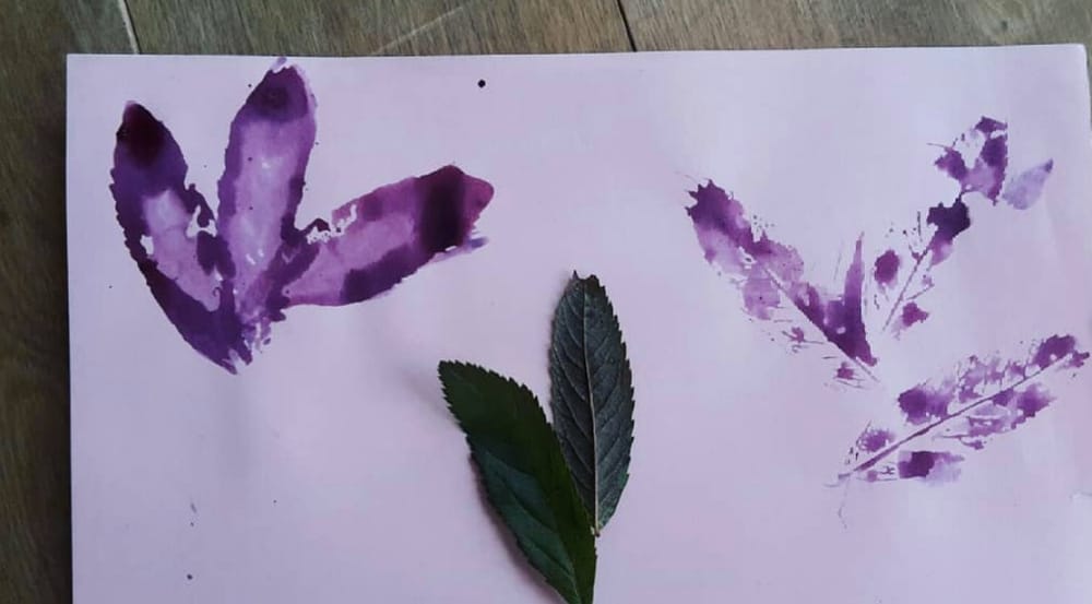 Experiments with food waste inks - image 1 - student project