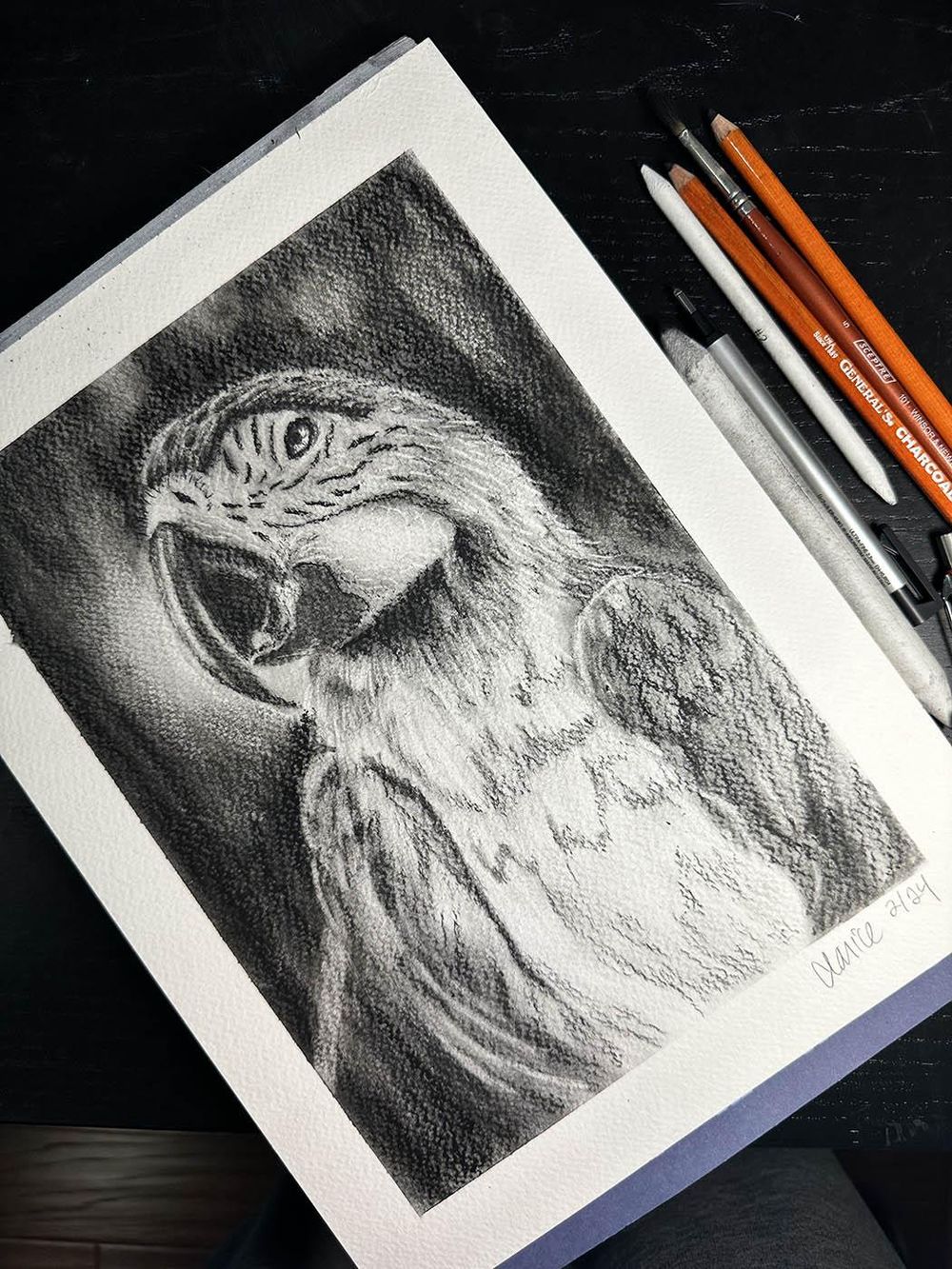 Macaw - image 1 - student project