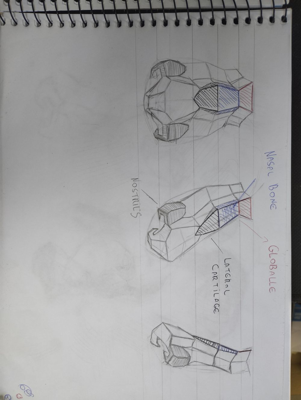 General Studies - image 4 - student project