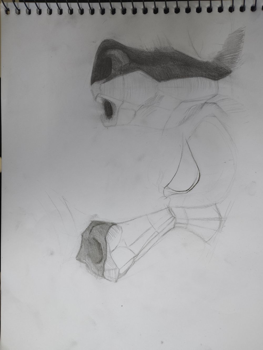 General Studies - image 3 - student project