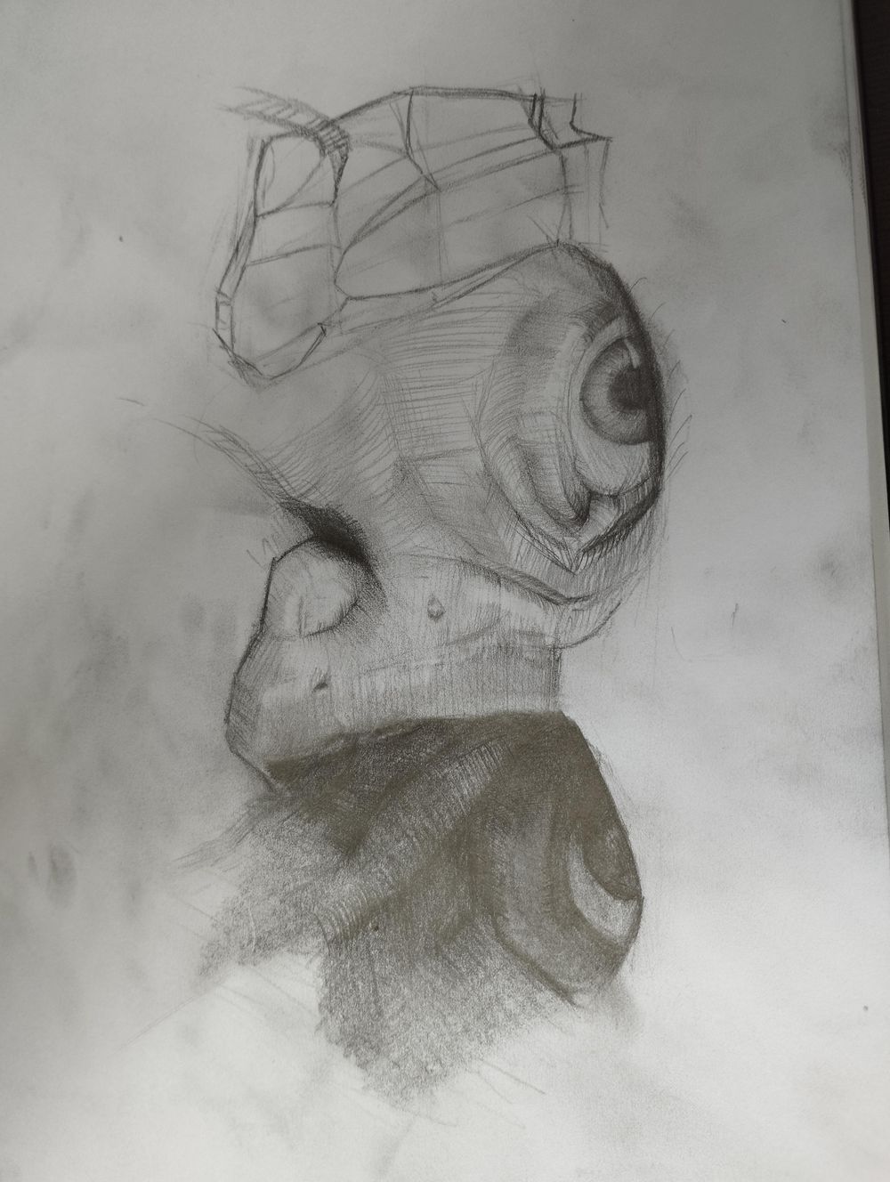 General Studies - image 5 - student project