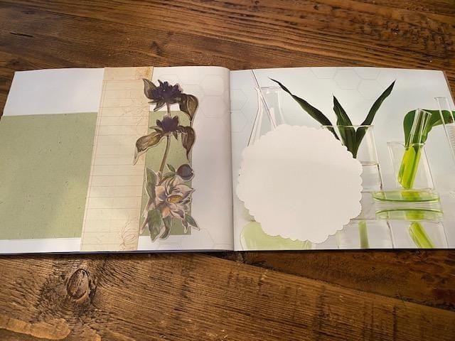 Up-cycled Brochure by Tracy - image 6 - student project