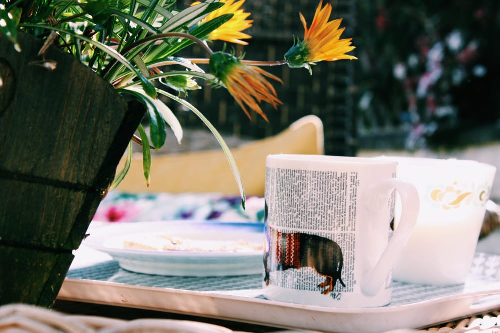 Tea in The Garden - image 2 - student project