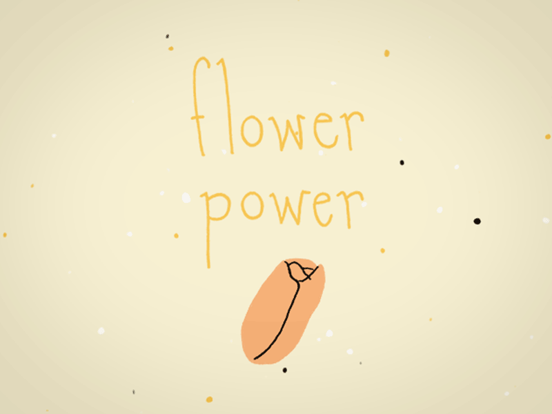Flower Power Skillshare Student Project