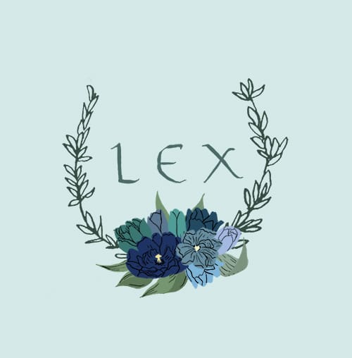Lex - image 3 - student project