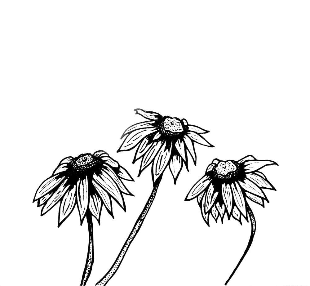 Flower Stickers Skillshare Student Project