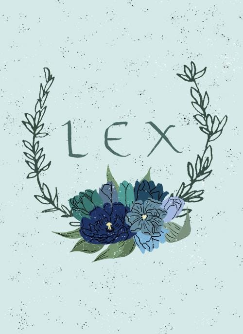 Lex - image 4 - student project