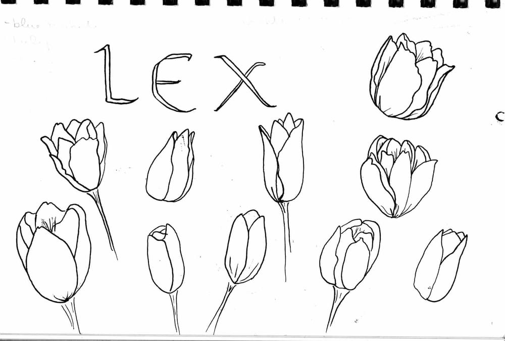 Lex - image 1 - student project