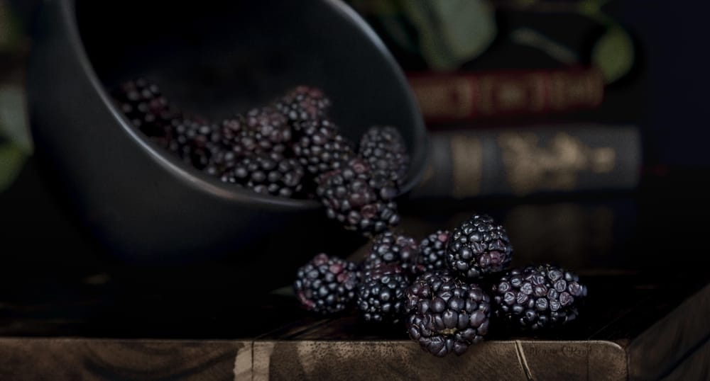 My Photoshoot & Inspiration - Eva Kosmas Flores - image 1 - student project