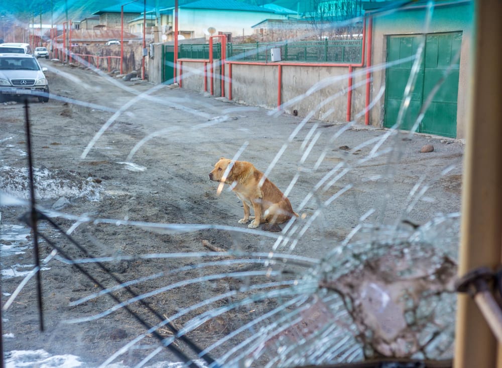 Going NowHere  - image 5 - student project