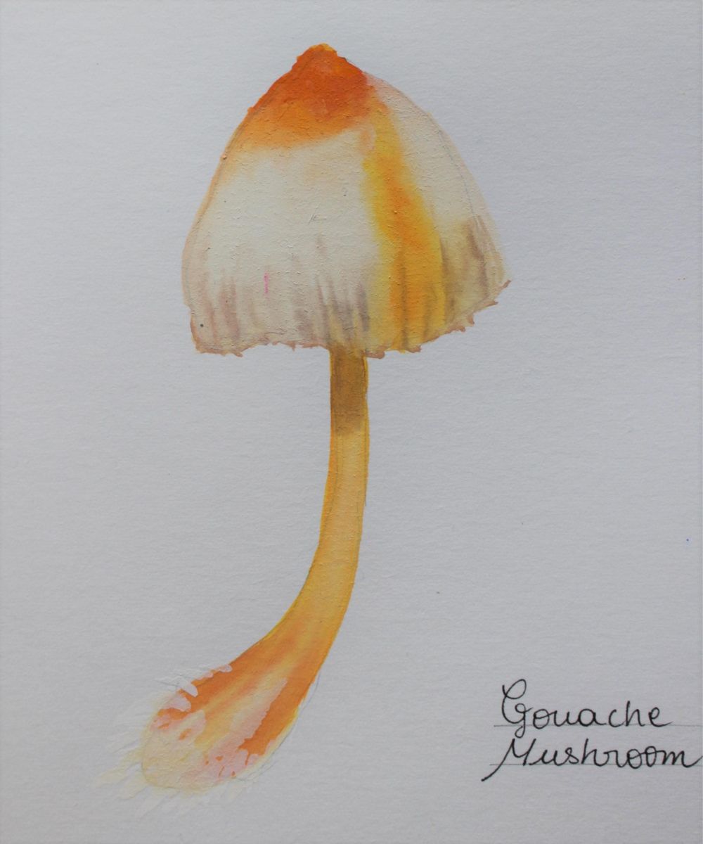 Watercolour Wild Mushrooms - image 3 - student project