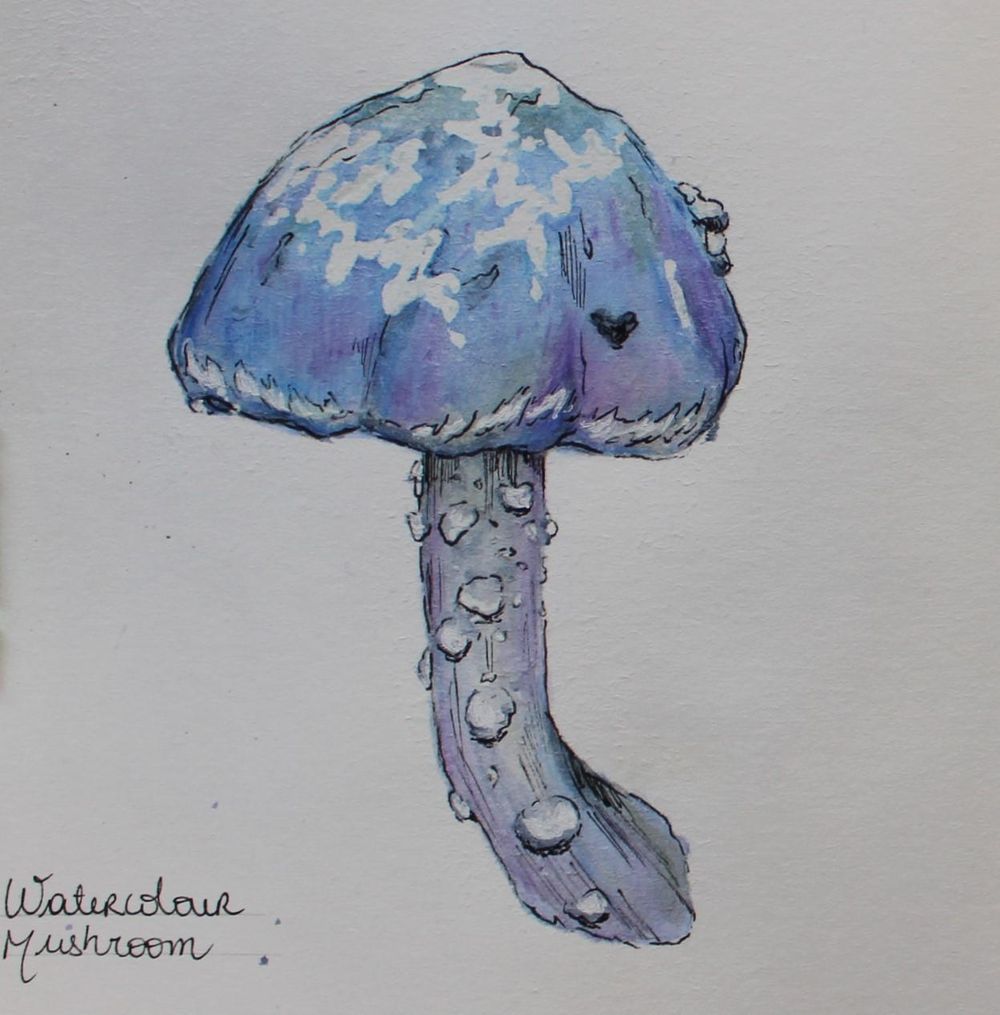Watercolour Wild Mushrooms - image 2 - student project