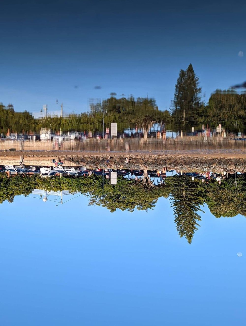 Reflection by Tamsin Edwards - image 2 - student project