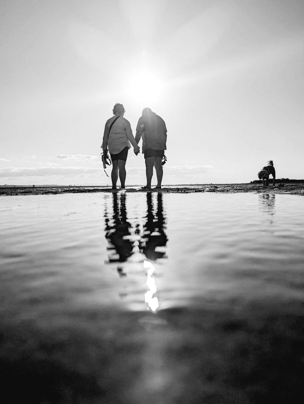 Reflection by Tamsin Edwards - image 1 - student project