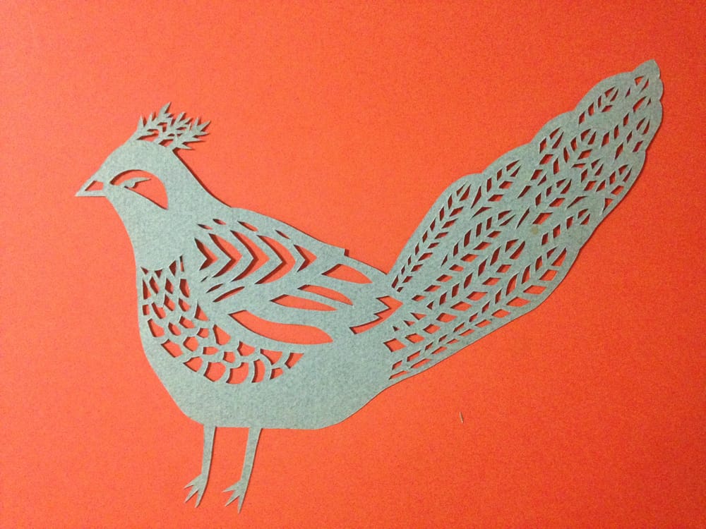 Bird  - image 3 - student project