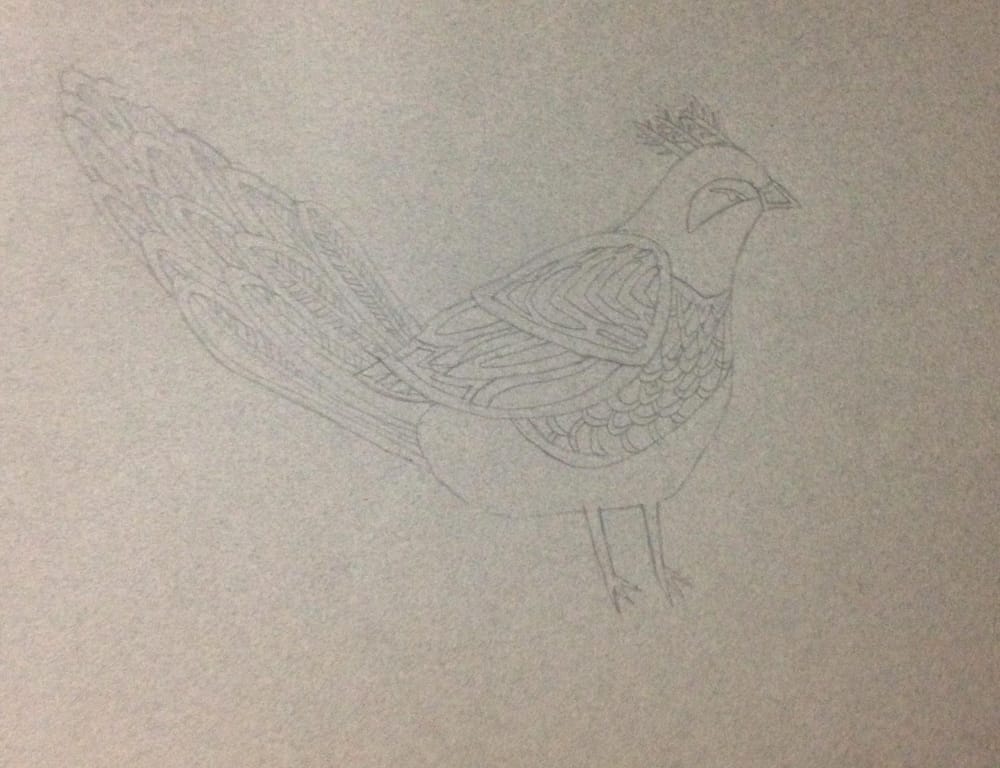 Bird  - image 1 - student project