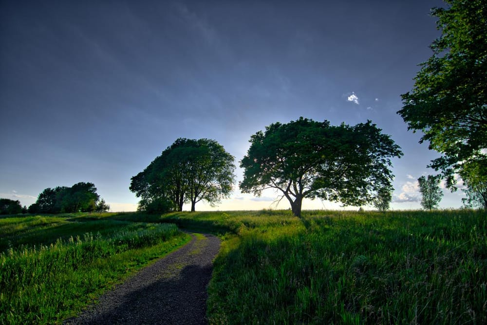 Iowa in the Summertime - image 3 - student project