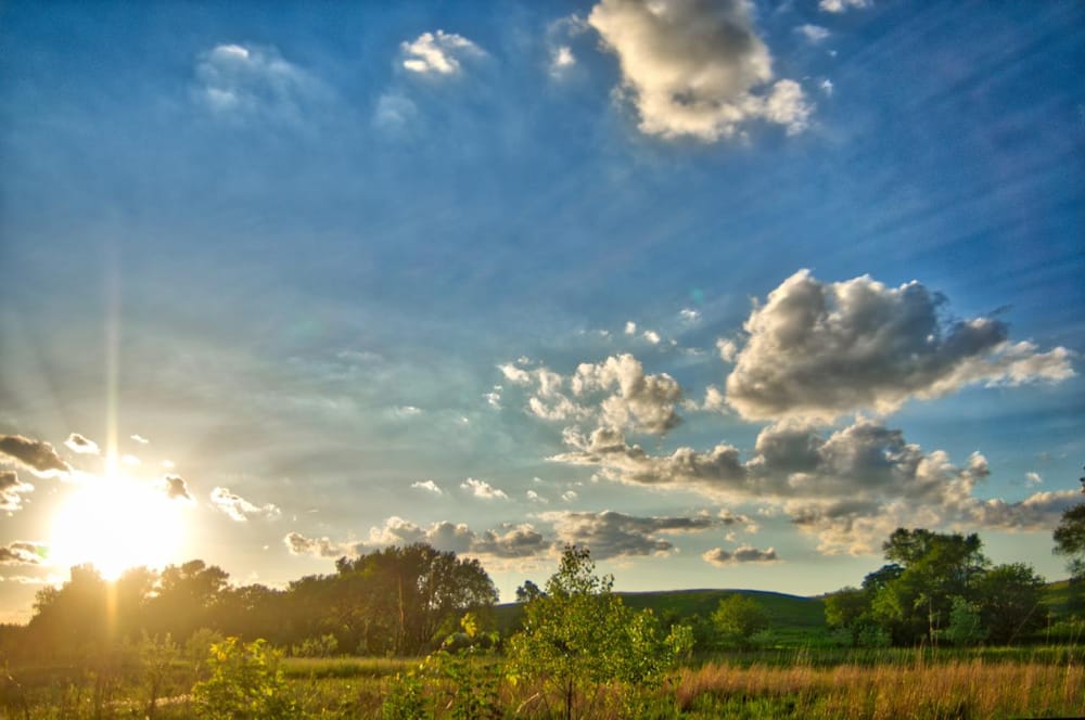 Iowa in the Summertime - image 2 - student project