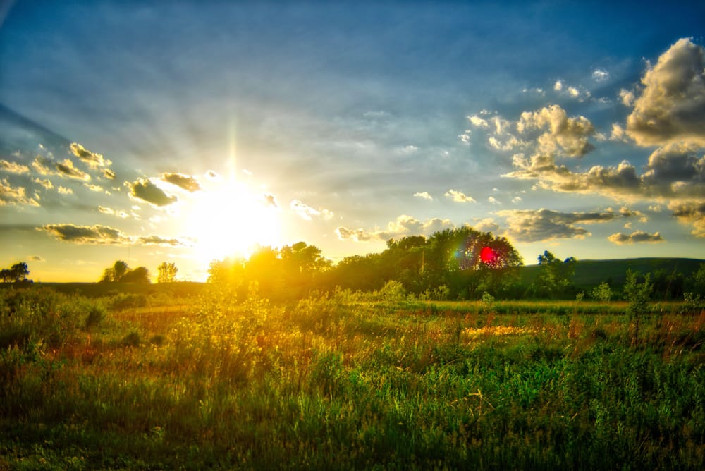 Iowa in the Summertime - image 1 - student project