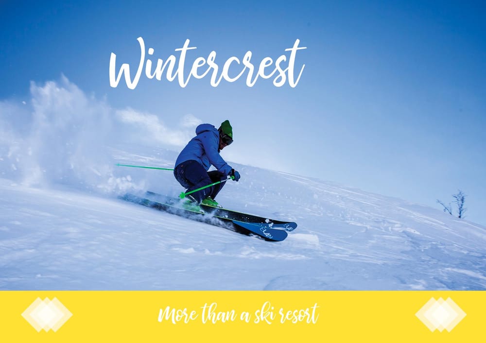 Wintercrest Lookbook - image 1 - student project