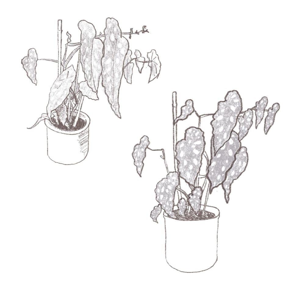 Drawing My Workspace - image 2 - student project