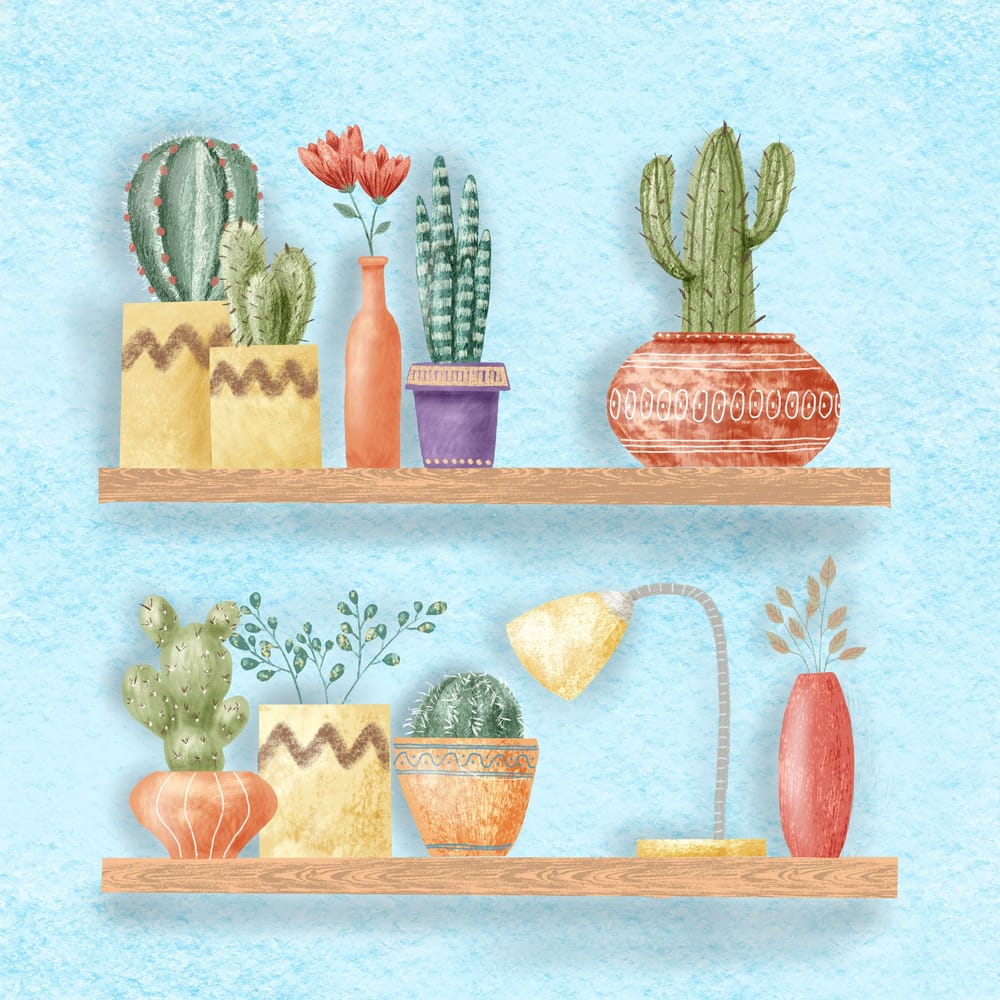 Cactus Shelf Garden - image 1 - student project