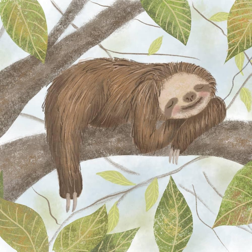 Sleepy Little Sloth - image 1 - student project