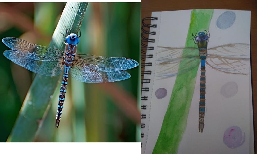Assignments - image 4 - student project