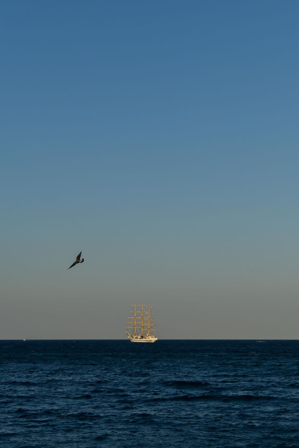 July in Crimea - image 3 - student project