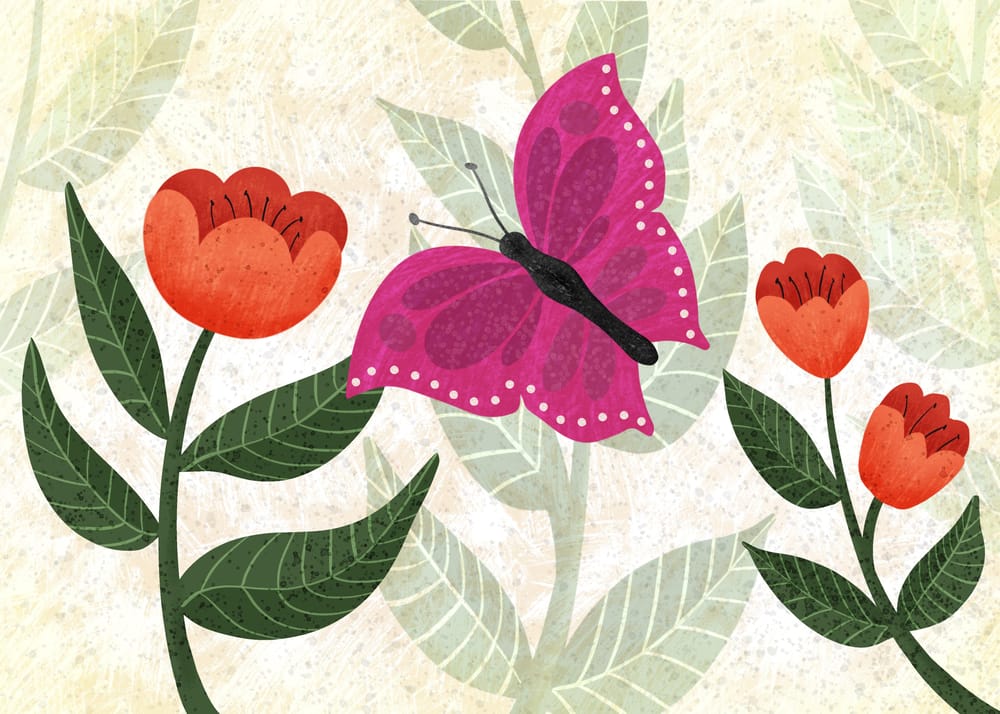 Butterfly - image 1 - student project