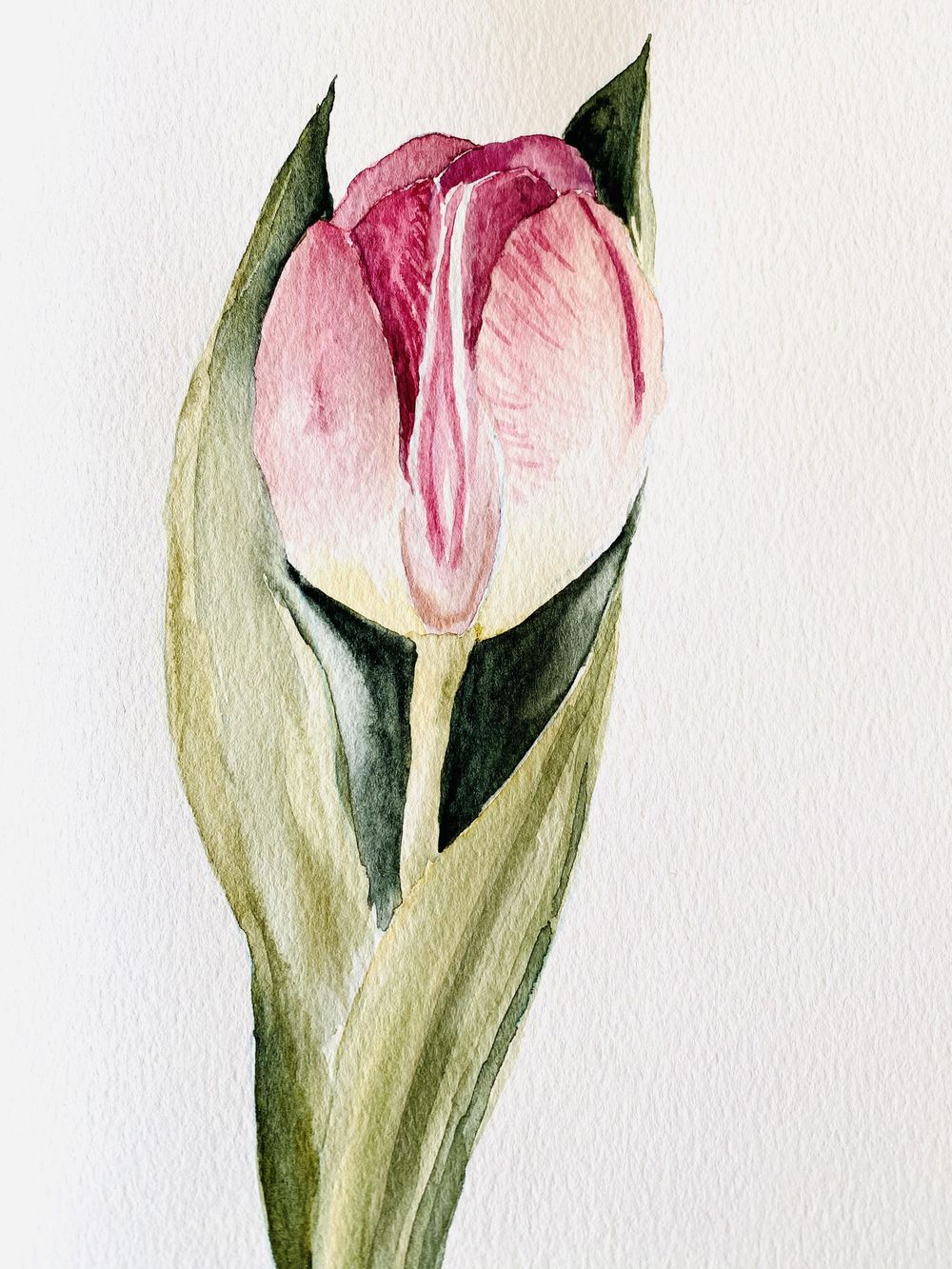 Watercolour tulips - image 2 - student project