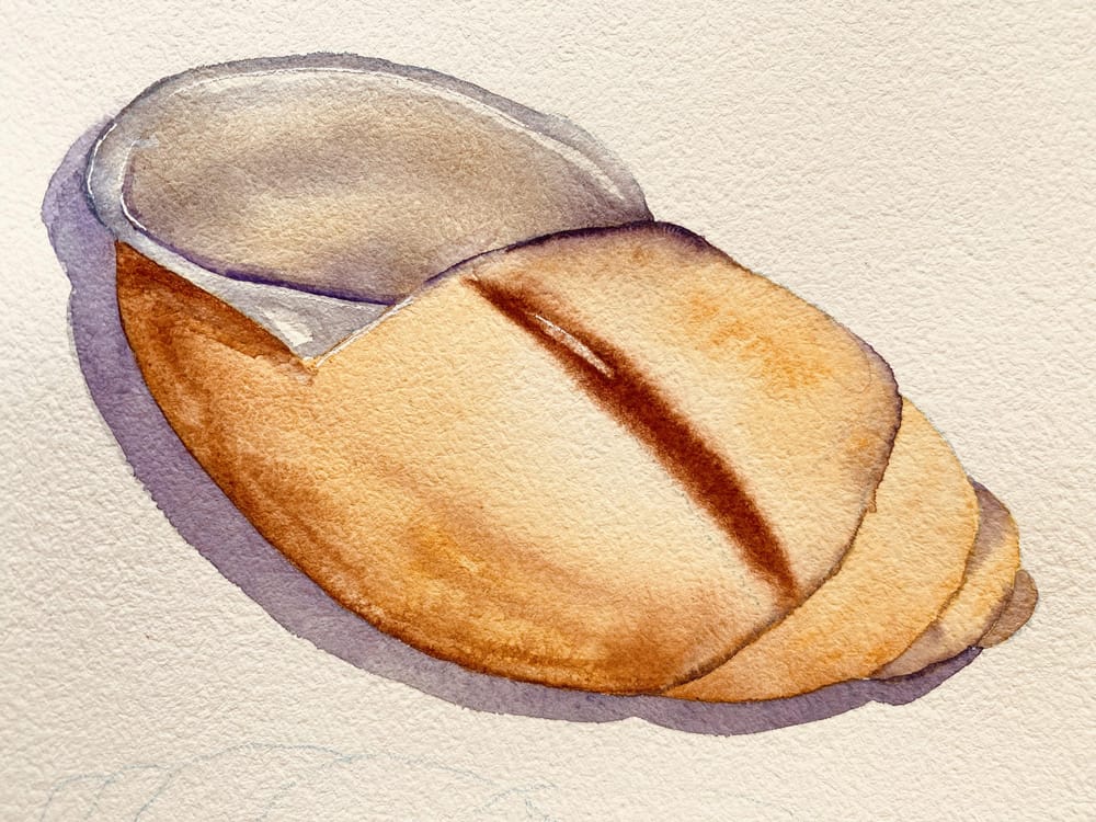 Watercolour shells - image 2 - student project
