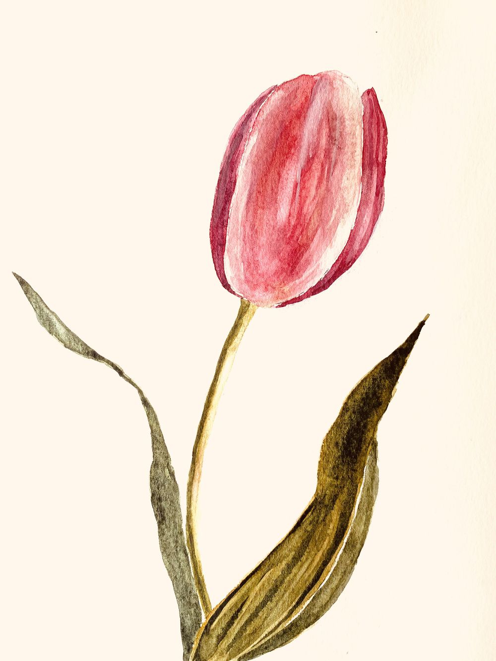 Watercolour tulips - image 1 - student project