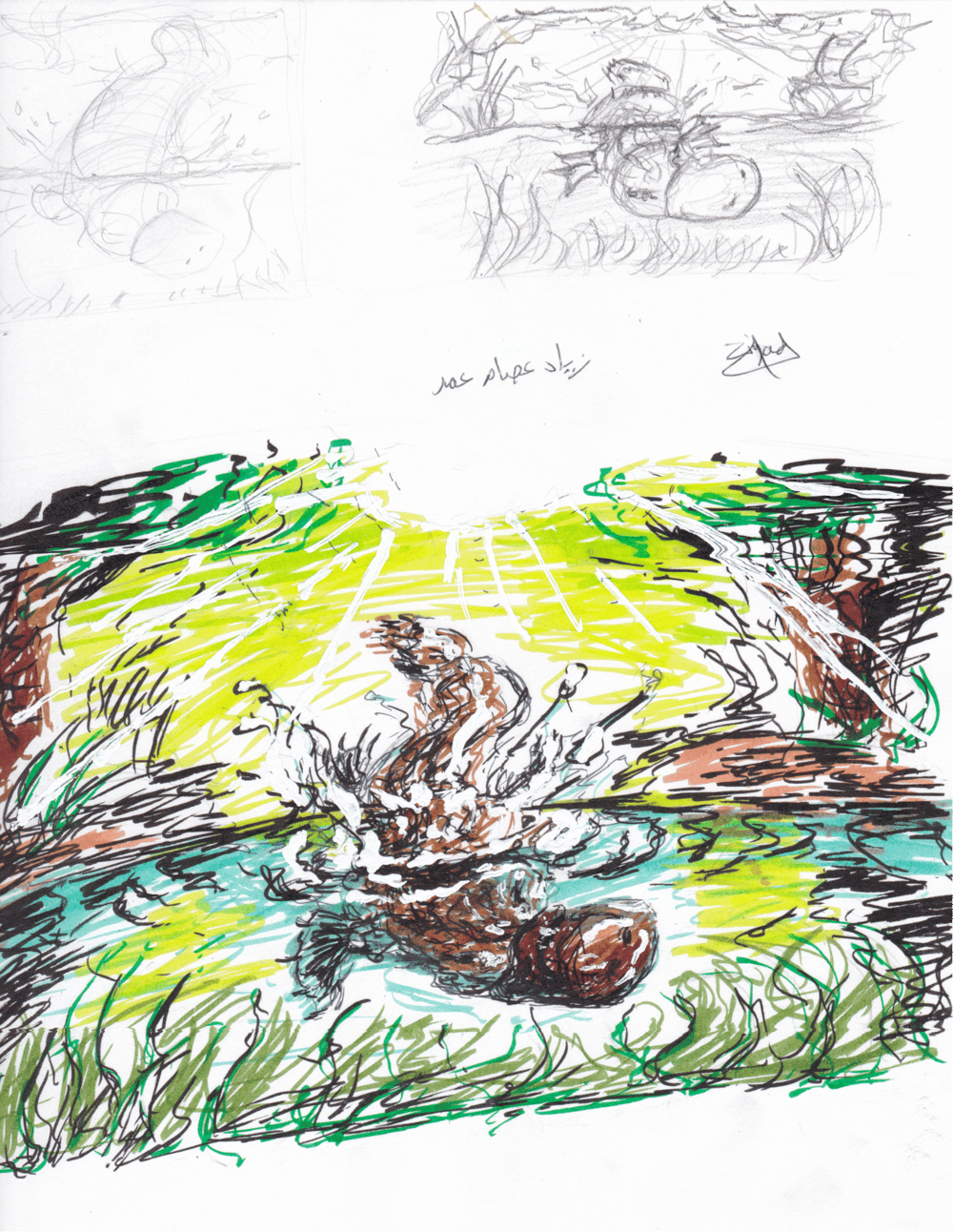 Diving Platypus - image 1 - student project