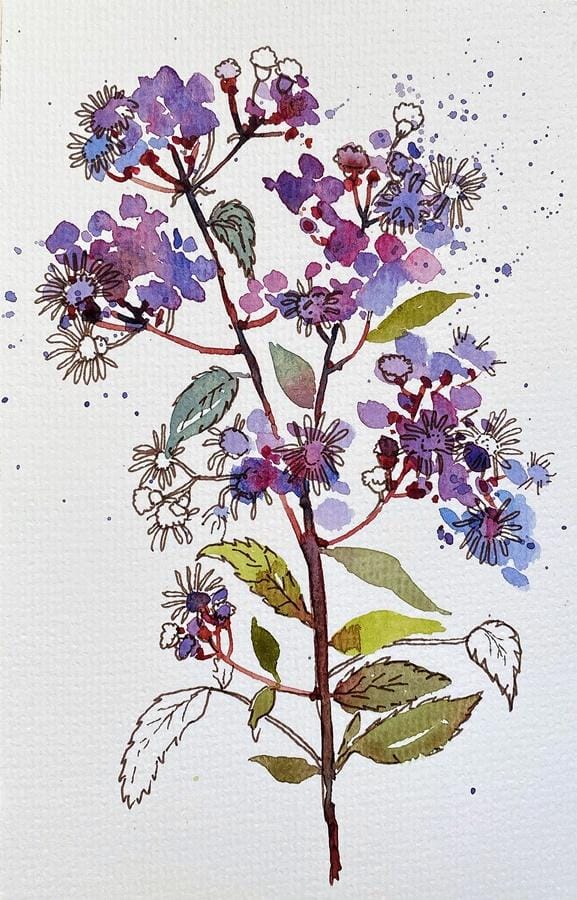 Ink and watercolor Wildflowers - image 1 - student project
