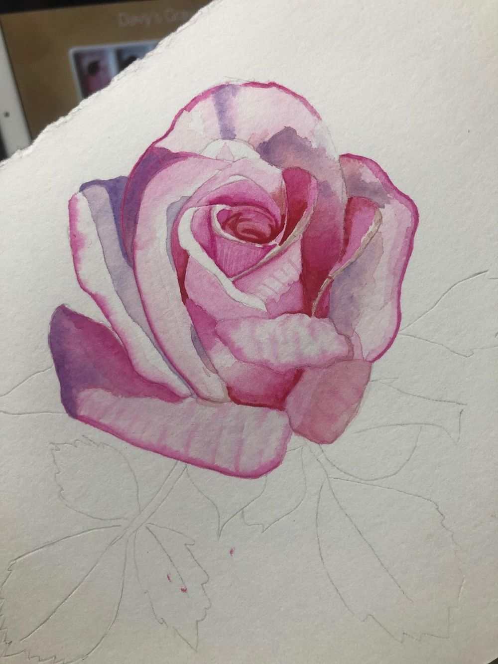 Opera rose - image 2 - student project