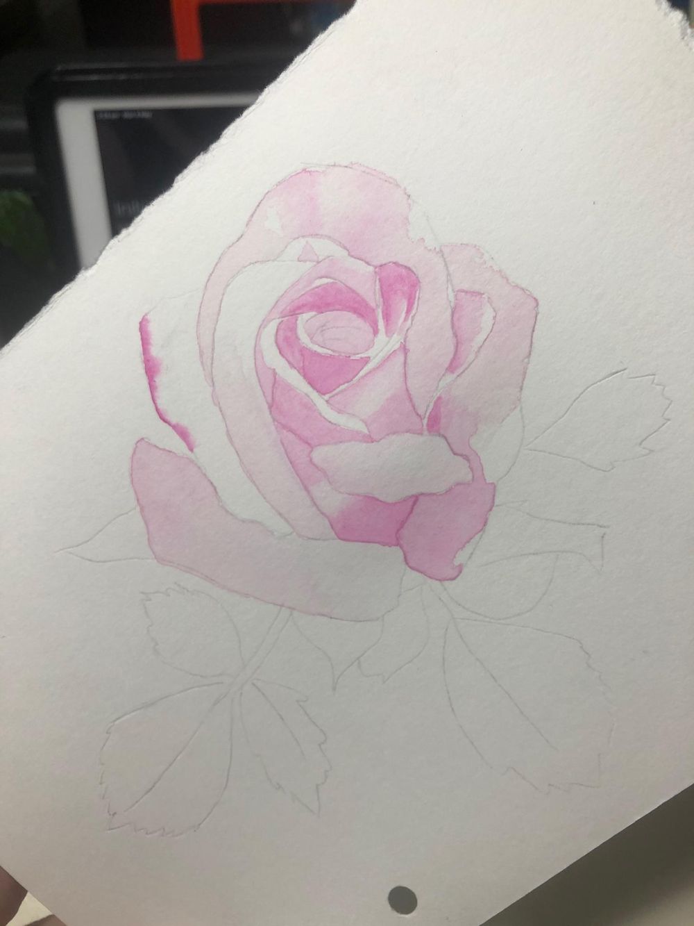 Opera rose - image 3 - student project